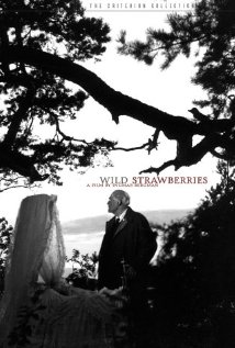 Wild Strawberries